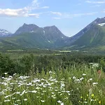 Great In Beautiful Nature Эрста
