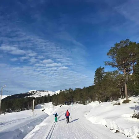 Great In Beautiful Nature Orsta