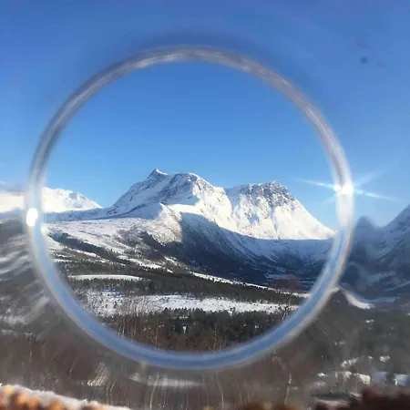 Great In Beautiful Nature *