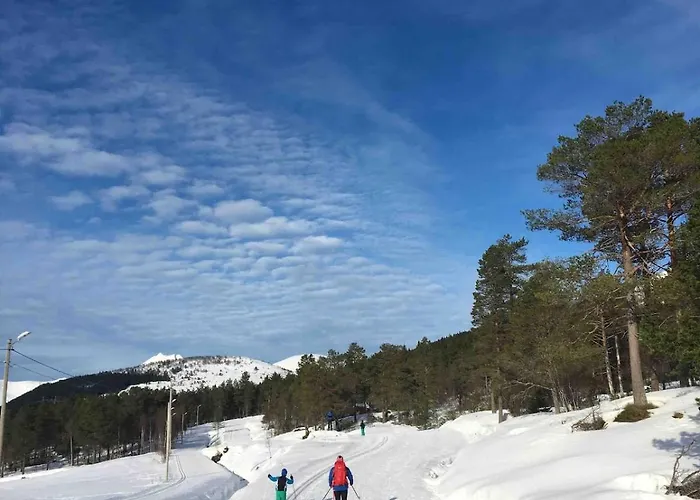 Great In Beautiful Nature Orsta