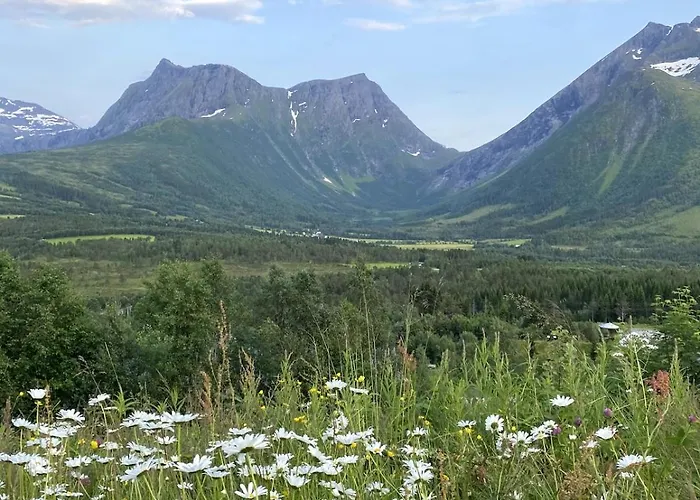 Great In Beautiful Nature Orsta